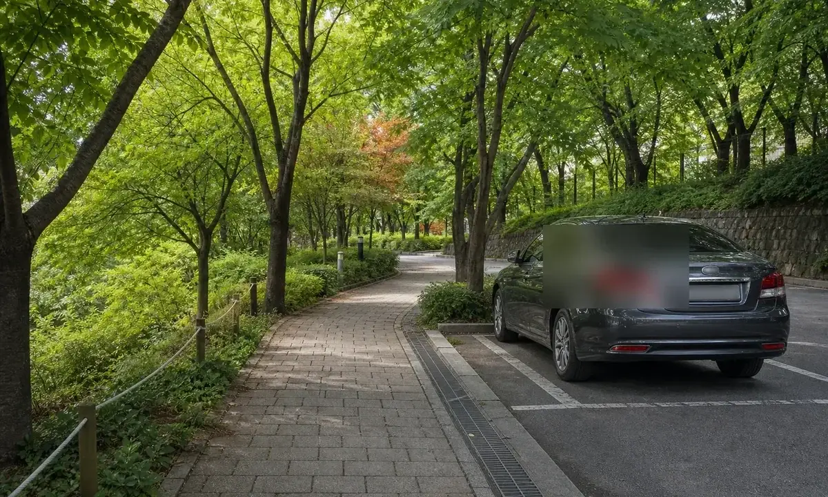 공원 산책 전 공영주차장부터 확인하는 방법 대표 이미지