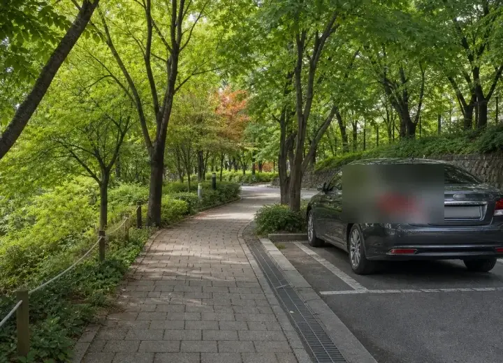 공원 산책 전 공영주차장부터 확인하는 방법 대표 이미지